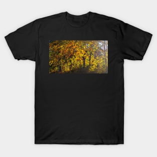 Golden Leaves glowing in the Sun T-Shirt